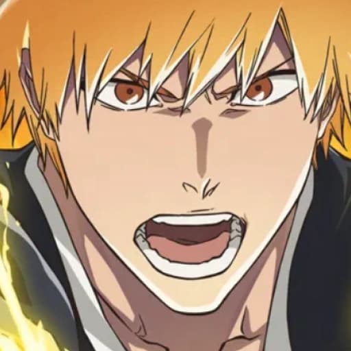 Bleach Soul Resonance